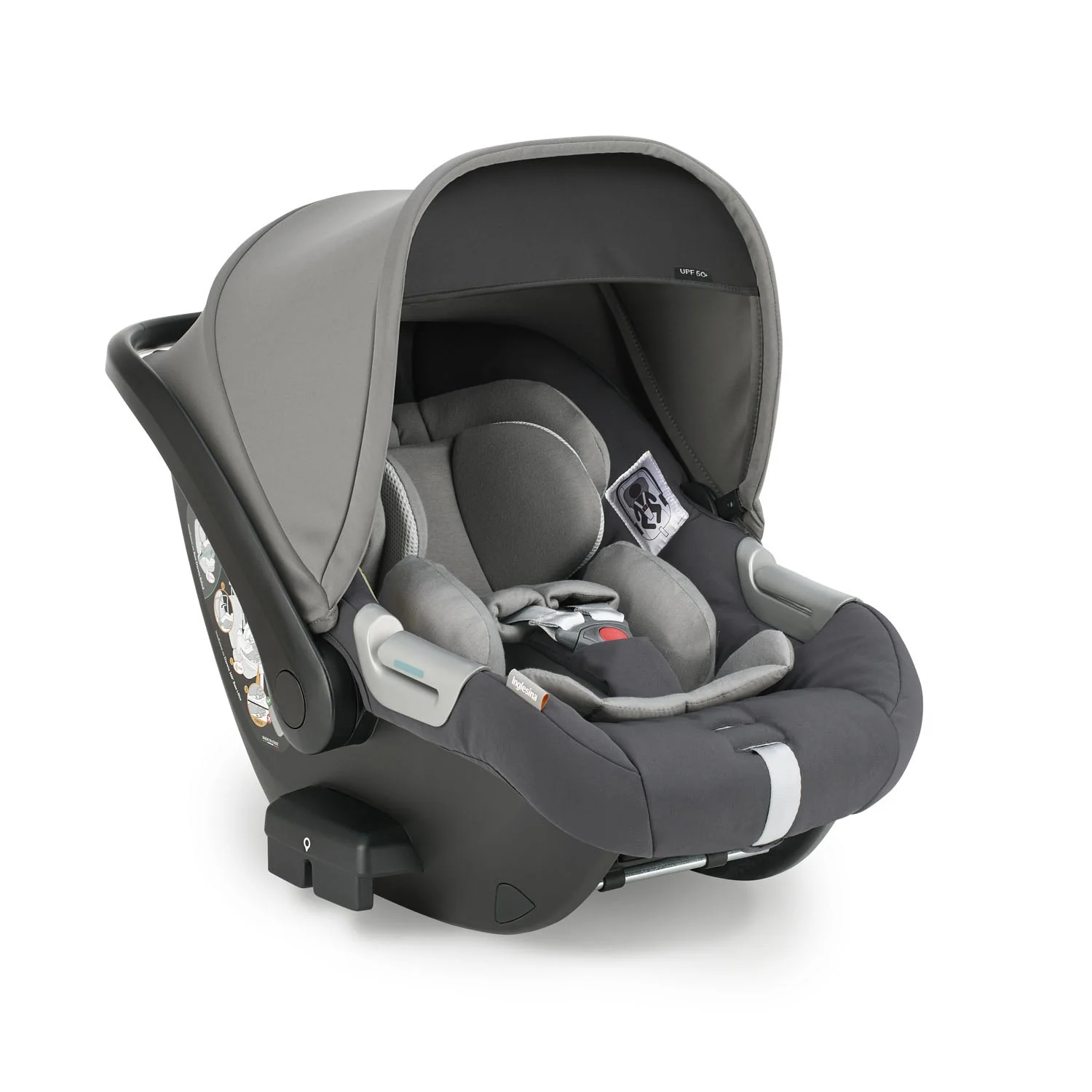 Darwin Infant - Image 12